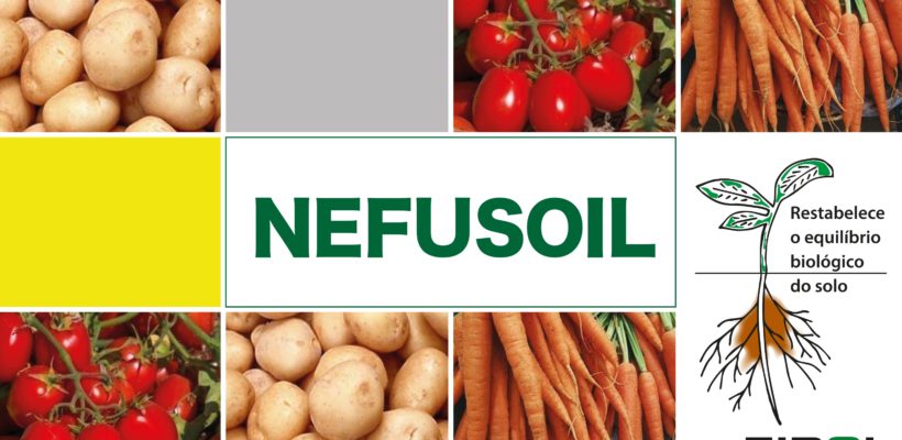 Nefusoil