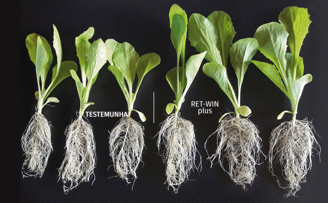 Beneficios en el cultivo RET-WIN plus